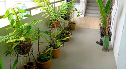 Blk 350 Tampines Street 33 (Tampines), HDB 4 Rooms #382811041